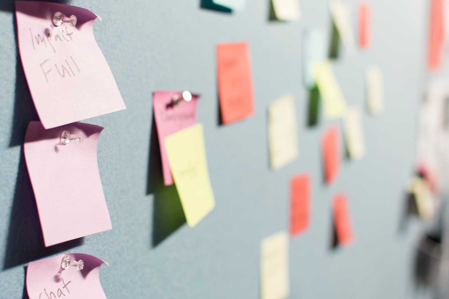 Inspiring Projects That Captivate and Connect